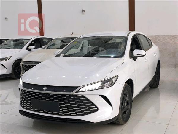 بي واي دي Qin Plus 2025 للبيع في العراق - اربيل